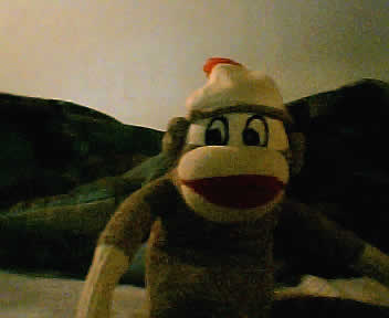Sock monkey